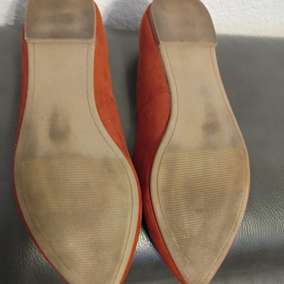 Torrid Flats - Picture 11 of 15